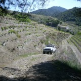 Die Angebote der Prioratführerselektion: Celler Ardèvol I Associats (Priorat; Porrera)