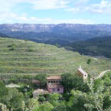 Der Prioratführer: Clos Figueras und Clos Mogador (Gratallops) überarbeitet