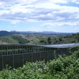 Der Prioratführer: Mas Igneus (Gratallops)